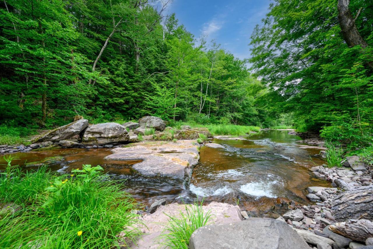 Mountain Treasure Bed And Breakfast Maplecrest Екстер'єр фото