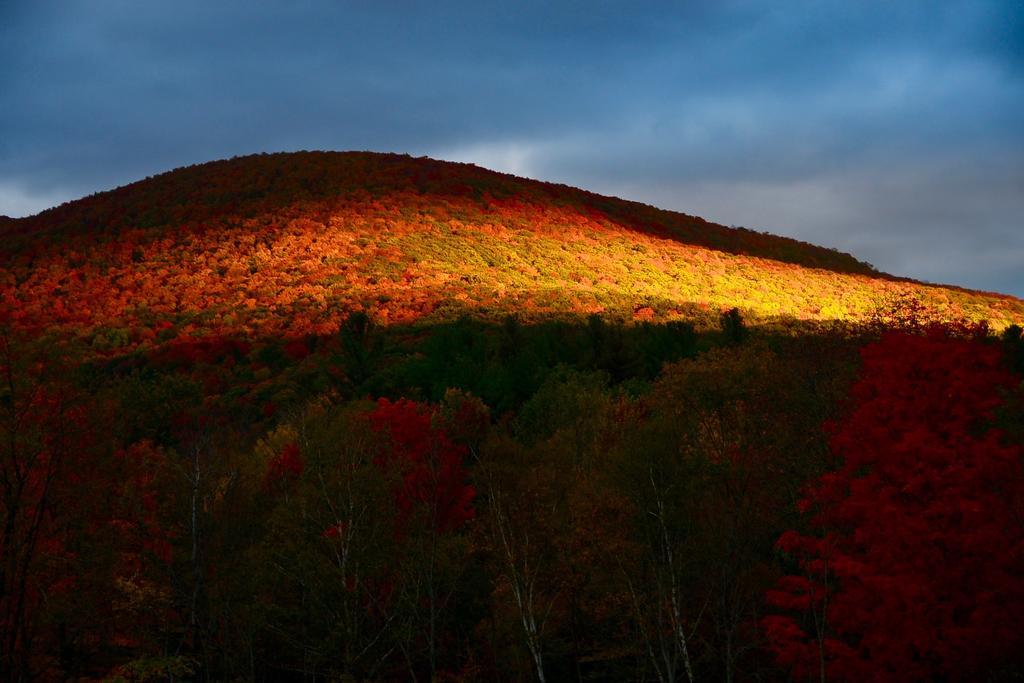 Mountain Treasure Bed And Breakfast Maplecrest Екстер'єр фото